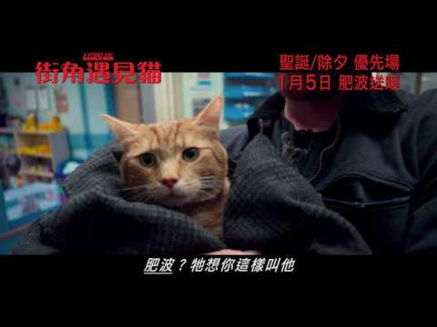 《街角再遇Bob》預告片：官方預告