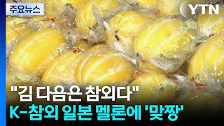"김 다음은 참외다" K-참외 일본 멜론에 '맞짱' / YTN