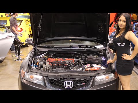 230whp 2004 TSX Dyno