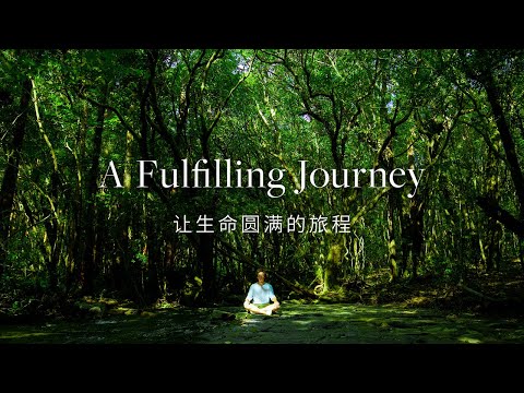 [屋久岛 | Yakushima] A Fulfilling Journey | 让生命圆满的旅程 [Documentary] [4K]