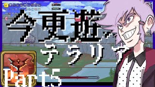 【Terraria】今更遊ぶテラリア Calamity mod [Part.5]