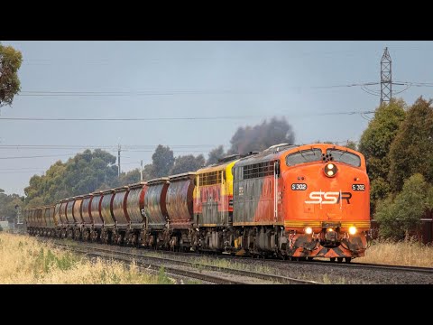 Australian EMD Streamliners in the wet! (SSR's 9197 grain To Manangatang) | B75 & S302