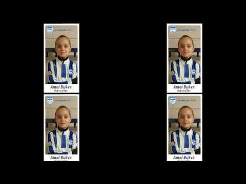 Highlights Amel.B (Unicum) - asv Dronten