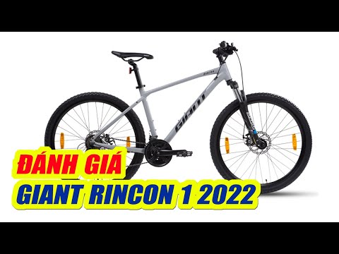 Rincón Gigante 1 Tamanho 27 5 2022