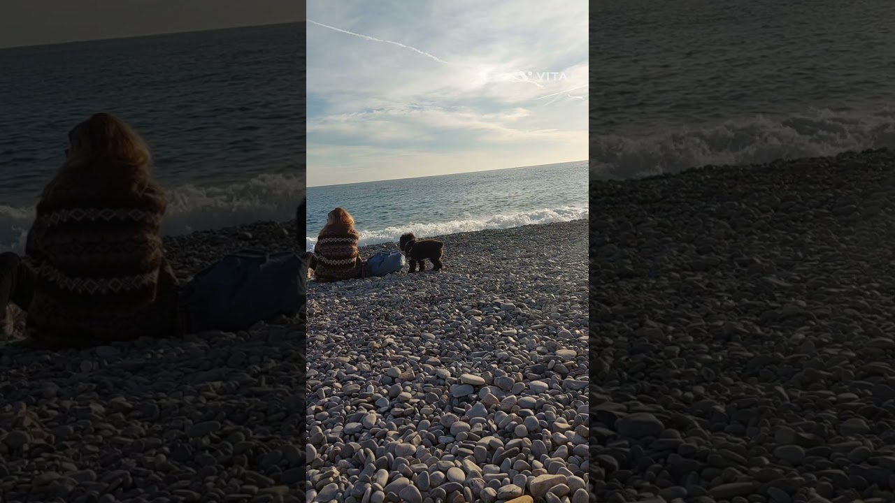 YouTube Short thumbnail