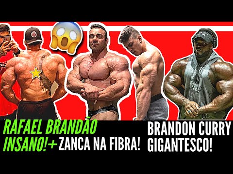 Rafael Brandão cada vez mais insano! Zancanelli na fibra!+Shape atual do Brandon Curry