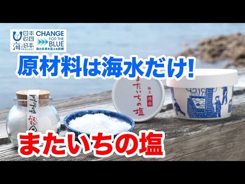 スイミングプールの塩素に代わる製品は何ですか?革新的なソリューションとは何ですか?  庭園