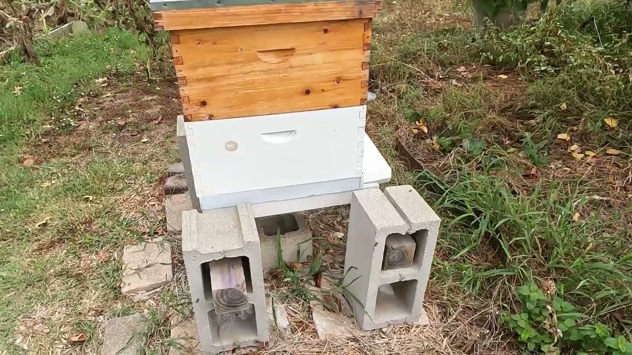 Fall Roundup and Review