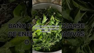 baño para despojarte de energía negativa, brujería. con albahaca, menta, Ruda, Romero, manzanilla.