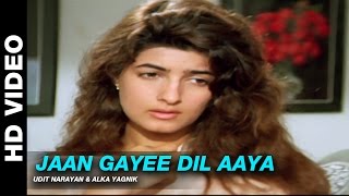 Jaan Gayee Dil Aaya - Jaan  Udit Narayan & Alk