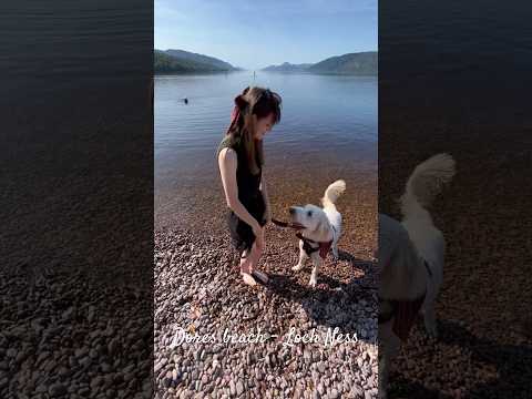 Dores beach - Loch Ness #scotland #dogfriendly