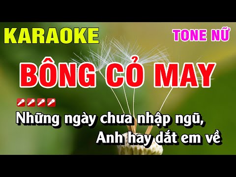 Karaoke Bông Cỏ May Tone Nữ Nhạc Sống | Nguyễn Linh