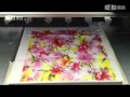 textile digital printing machine 