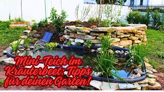 Mini pond in the herb bed: Tips for your garden