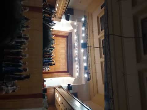 Ansambl Djerdan na Kolarcu