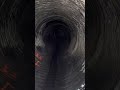 Pennywise Clown Laughter Pennywise Clown Laugh