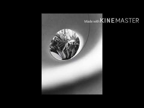 Formidable (stromae girl version)