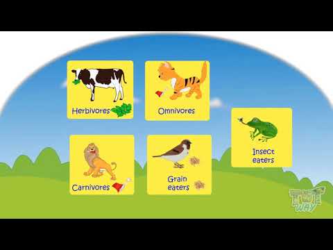 Animals- Food & Shelter Video Lecture - Class 1 | Best Video for Class 1 Animals- Food & Shelter Video Lecture - Class 1 | Best Video for Class 1