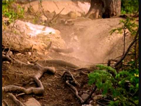 NWD 8: Fabien Barel/ biking