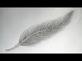 How to draw feather ||pencil drawing||easy feather drawing||pencil art||