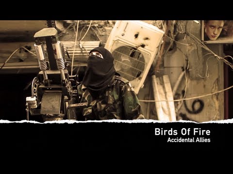 Download Accidental Allies Birds Of Fire Mp3 dan Mp4 2018