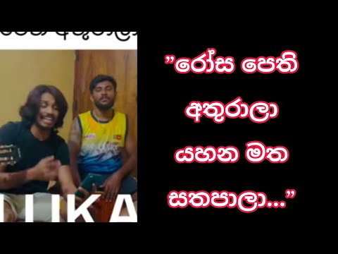 Rosa pethi Athurala || රෝස පෙති අතුරාලා || Cover by || Lukshan Gamage