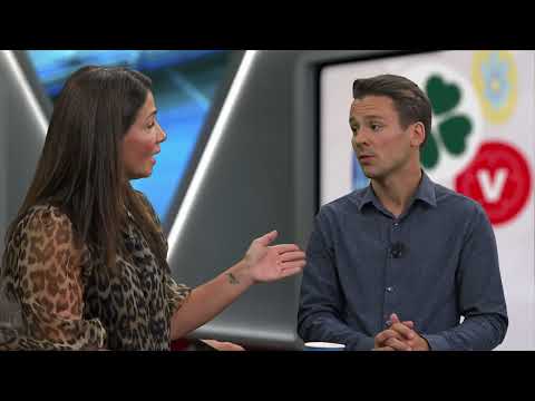 L läxar upp MP: ”Du måste tänka på hur du uttrycker dig”