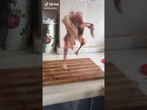 Kurdish Mashup Kukla Versiyon