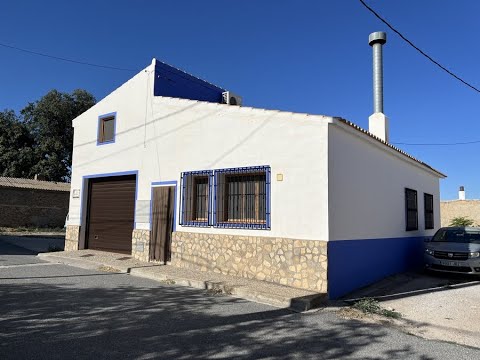 video image