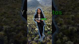 Tus malas acciones están destruyendo la vía más linda 