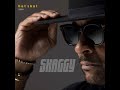 Shaggy%20feat.%20Rani%20-%20Caribbean%20Plans