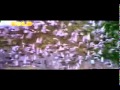 Sarfarosh Ghazal Hosh Waalon 360p