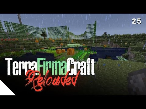 "Terraforming" :: TerraFirmaCraft Reloaded - Episode 25