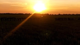 Download lagu Selamat Hari Minggu | Sungguh Indah cakrawala yang Tuhan ciptakan. mp3