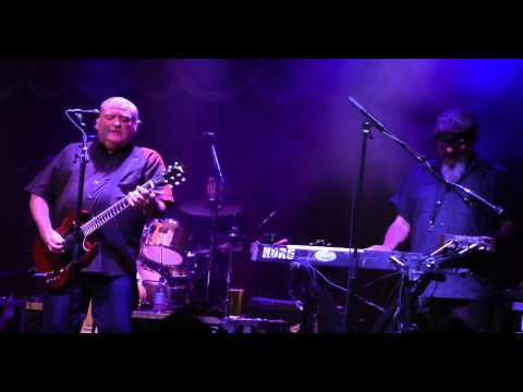 Los Lobos One Time One Night (Brooklyn Bowle 30/06/2015)