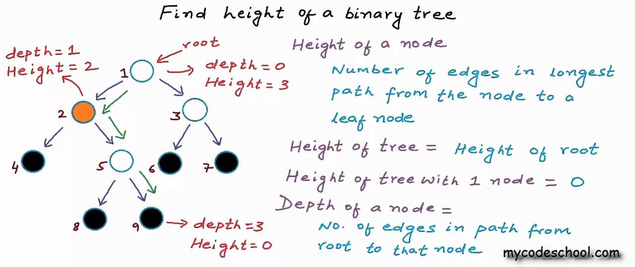 Find height of a binary tree