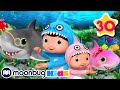 Baby Shark Song Nursery Rhymes And Cartoons For Kids Little Baby Bum Babyshark