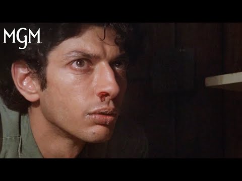 Thumbnail of the video: It's a Monsters