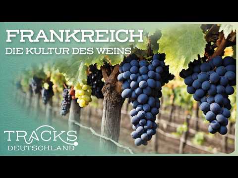 2+ Stunden Doku zum Einschlafen: Frankreichs Weingebiete