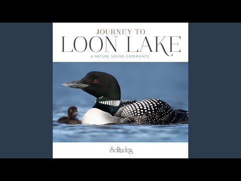 Listen to the Loons