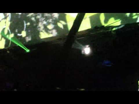 18th years of Mayapur sound system freeparty(6)