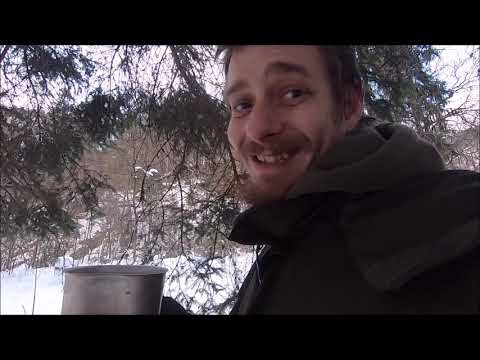 Ein Fauler Tag & Lecker Fichtennadel Tee