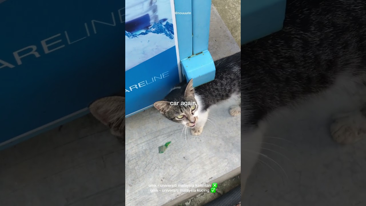 STUDENT VLOG | UNIVERSITI MALAYSIA KELANTAN | UMKPC