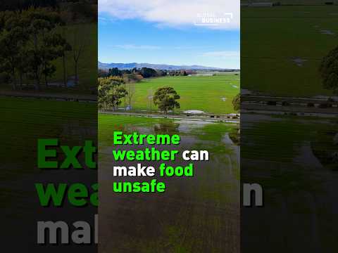 How extreme weather can contaminate our food supply