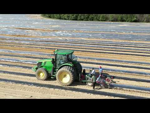 Plastic melon dome 2023