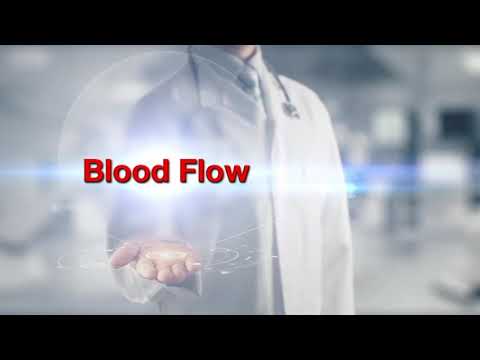 LX Yang. best solution for blood circulation