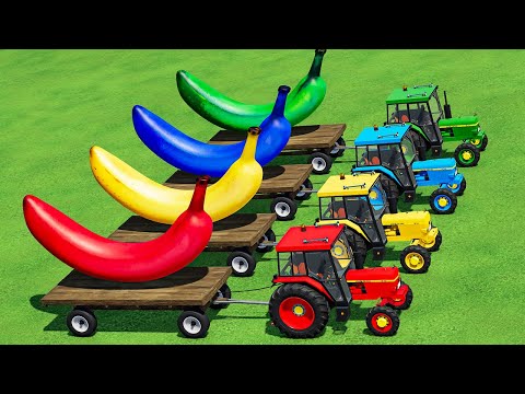 TRANSPORT  BANANA & WATER TANKER WITH JOHN DEERE & COLORED TRAILERS & TESLA TRUCK! FS22