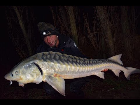 FEEDERMANIA - Téli horgászat a Harcsa tavon