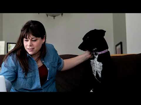 女性在美國就業市場上艱難地重新站穩腳跟。 (Women struggle to regain footing in U.S. job market)