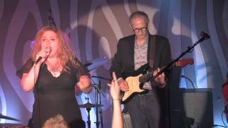 Ants In The Kitchen - Shaky Ground